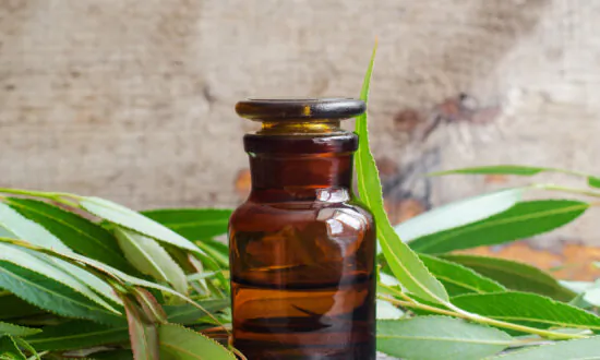 Research: Willow Bark Extract’s Potential for Inactivating COVID-19 and Enterovirus