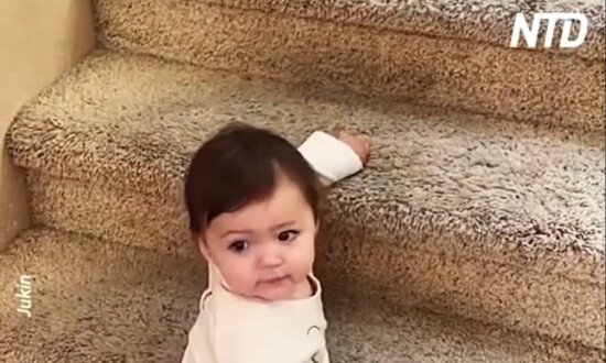 Toddler Descends Stairs in Reverse!