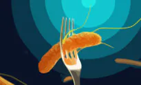 Salmonella: No. 1 Cause of Death in Everyday Food, Treatment Dilemmas