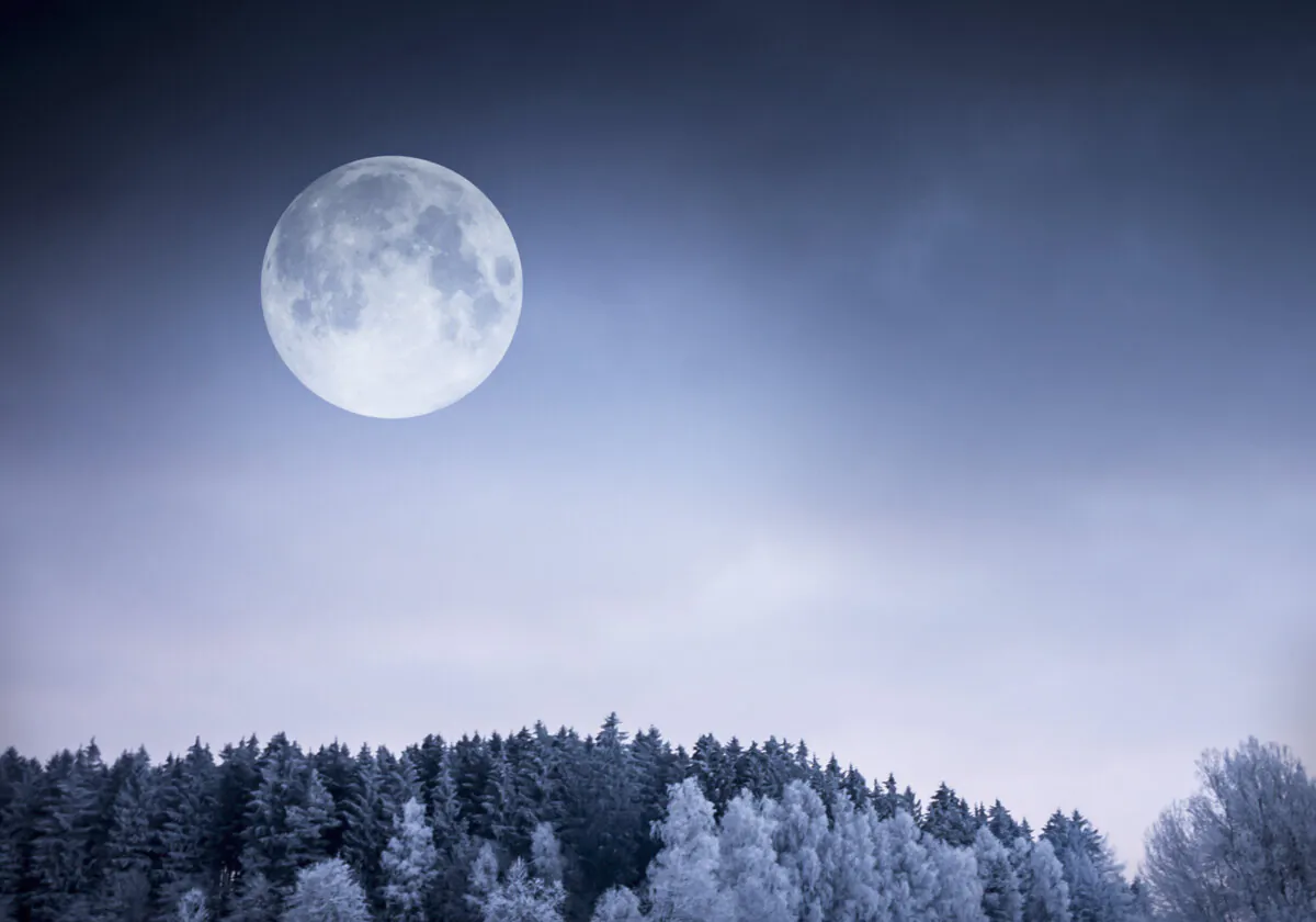(Illustration - mejnak/Shutterstock)