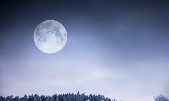 Full ‘Cold Moon’ Will Rise to the Top of the Sky Around Christmas—Here’s What You Need to Know