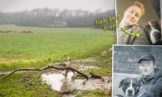 Guy Sees Homeless Man With a Dog and Sign—Finds New Best Friend Oddly Obsessed With Giant Sticks