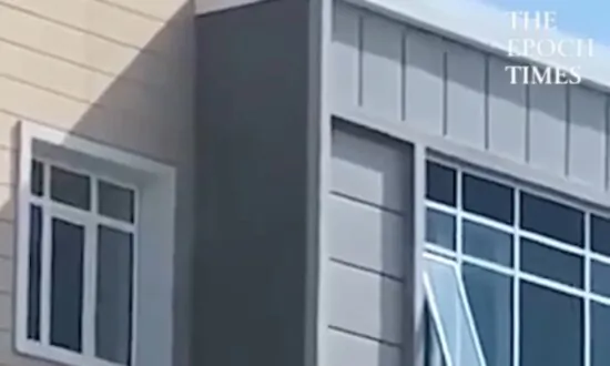Heroic Man Rescues Little Girl From Window