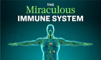 The Miraculous Immune System