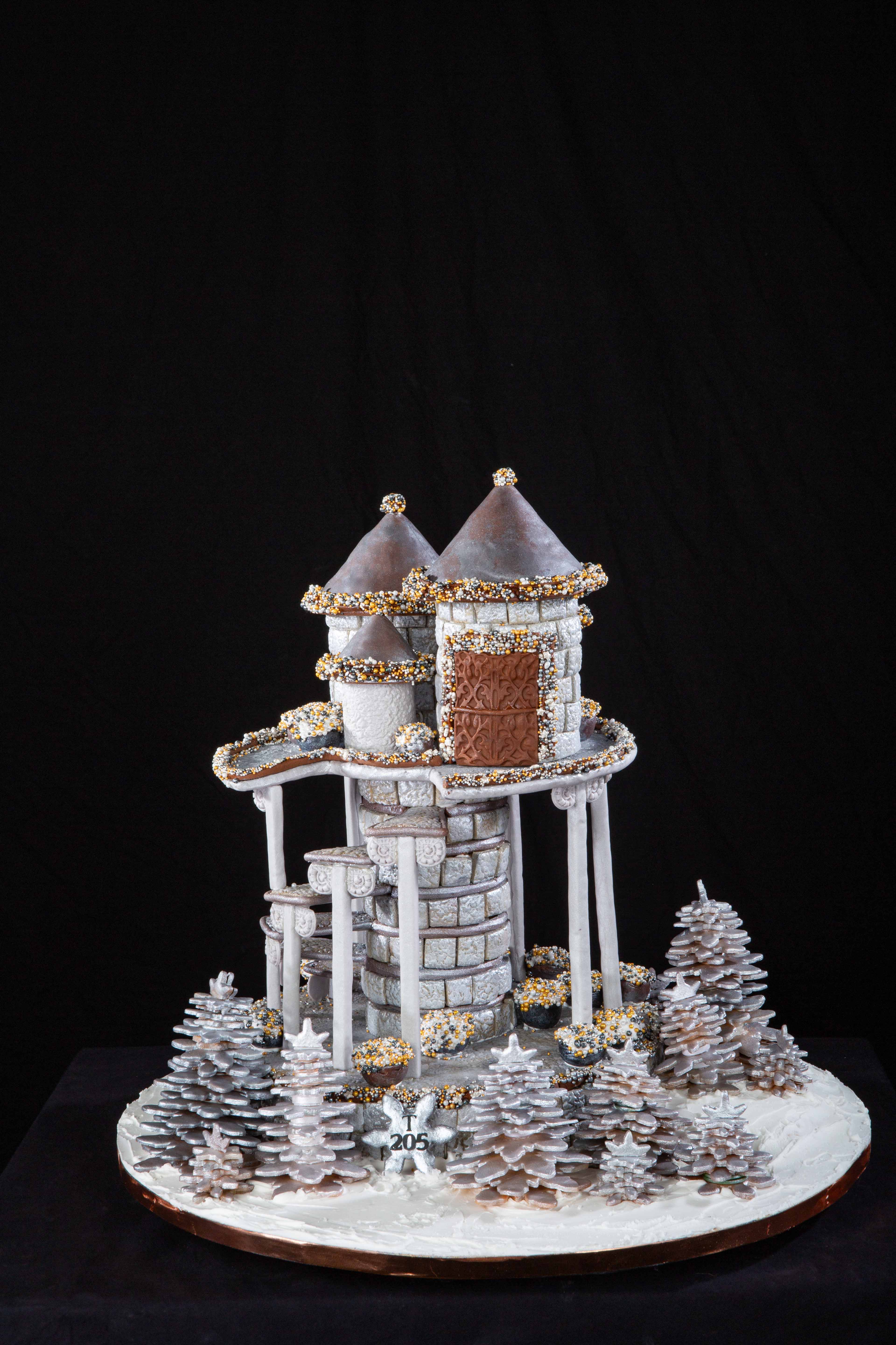 The third-place winner of the teen's category.