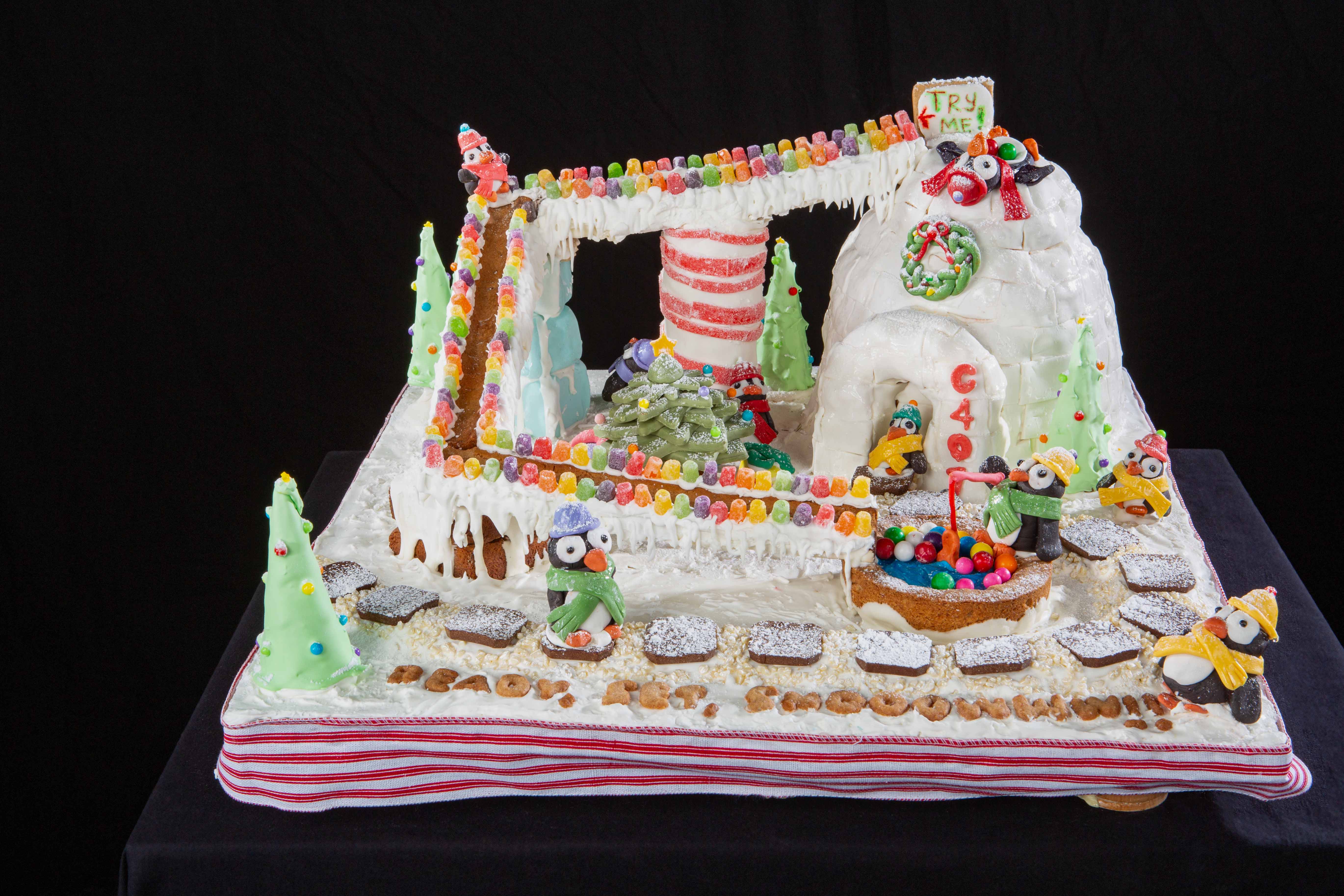 The second-place winner of the child category.