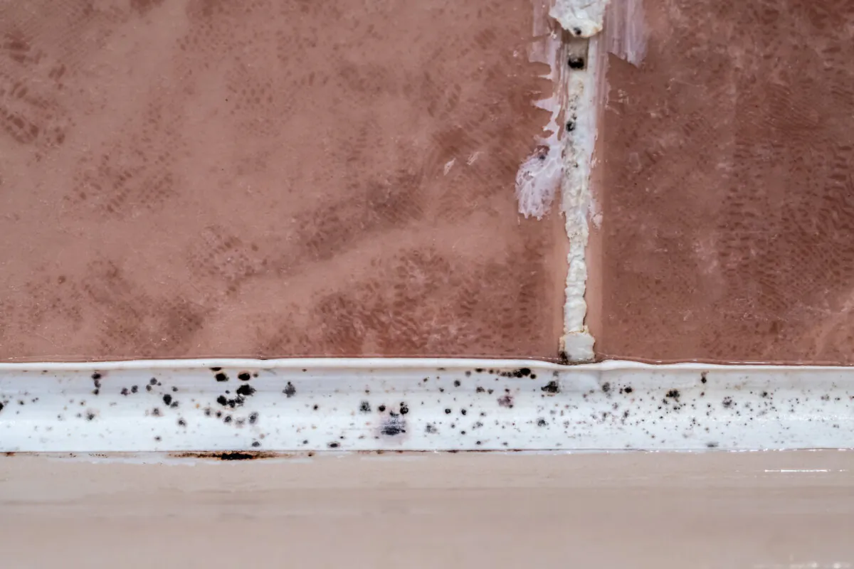 Refresh your bathroom with some new caulk. (Pumbastyle/Shutterstock)