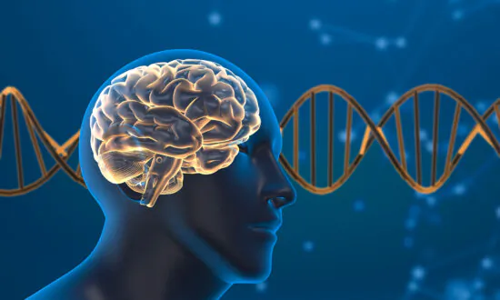 Scientists Find New Method to Detect Early Indicators of Schizophrenia