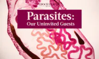 Parasites: Our Uninvited Guests