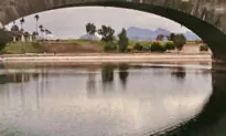 New Year’s Eve Serendipity in Arizona
