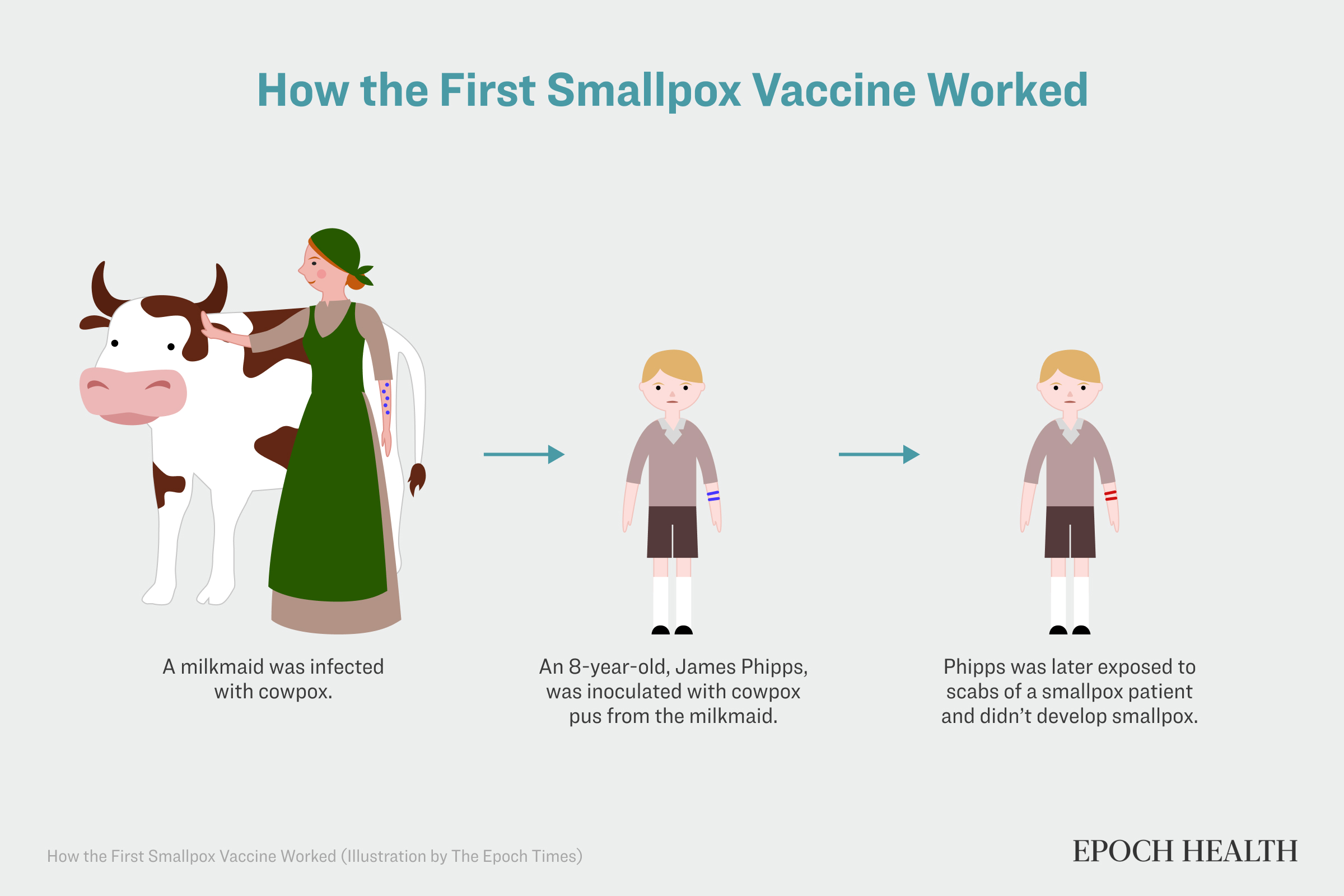 Smallpox_graphic2