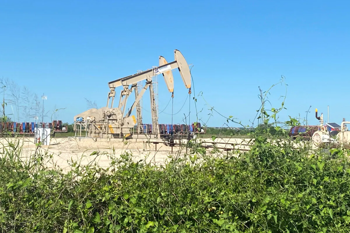 Oil pumps are seen in Karnes County, Texas, on May 18, 2020. (Jennifer Hiller/Reuters)