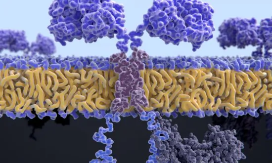 Modified Spike mRNA: There Are No ‘Desired Proteins’