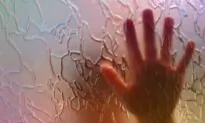 New Study Confirms CDC and Other ‘Experts’ Hurt Children for Nothing