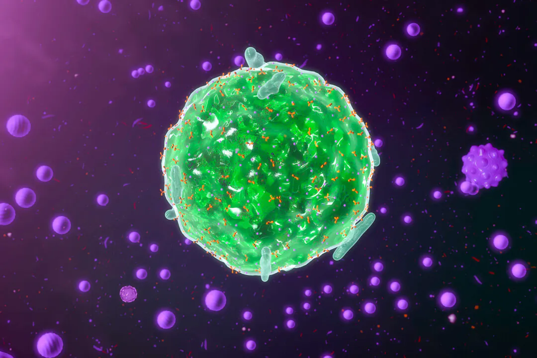 (sciencepics/Shutterstock)