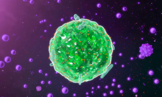 Mast Cell Activation Syndrome: A Mysterious Disease Often Missed, Here Are Solutions