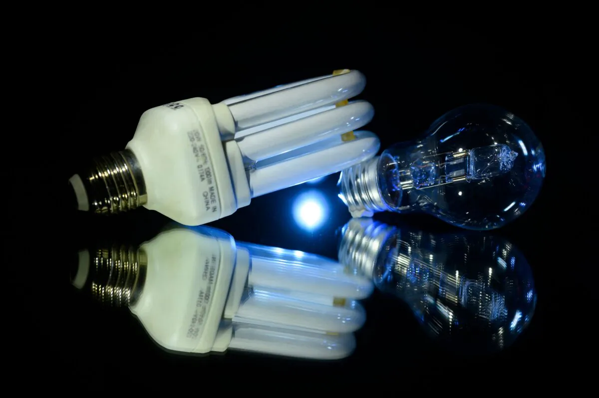 Light bulbs in Toulouse, France, on Sept. 17, 2022. (Lionel Bonaventure/AFP via Getty Images)