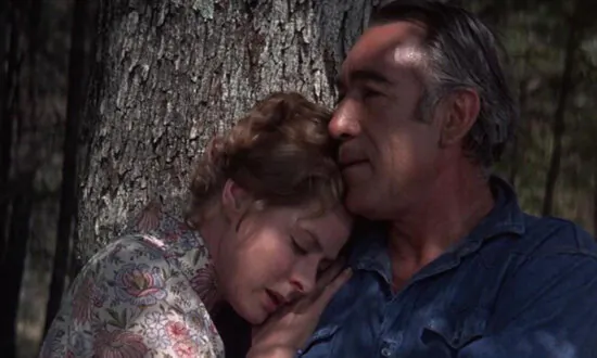 ‘A Walk in the Spring Rain’ (1970)