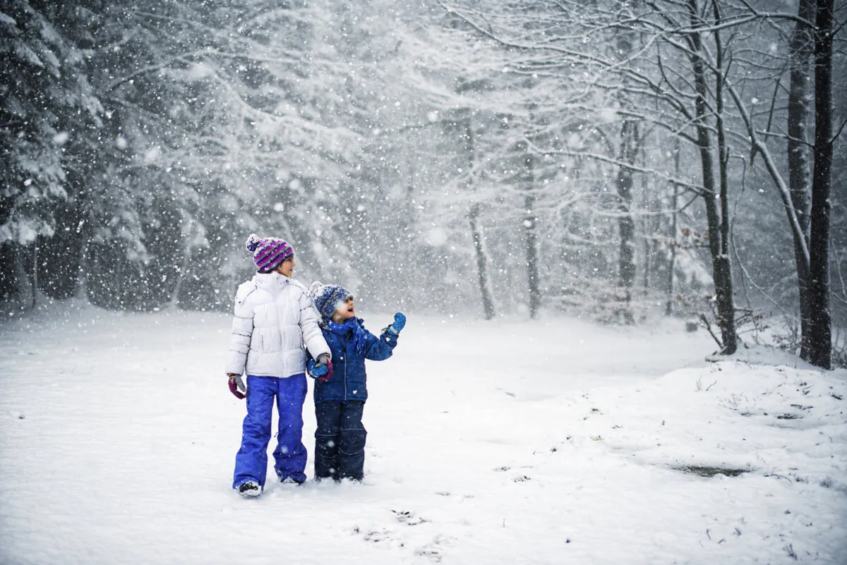 A walk in the woods reveals all the hidden delights of nature. (Imgorthand/Getty Images)