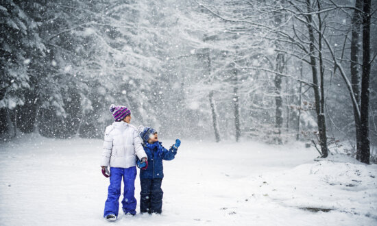 5 Winter Activities That Don’t Involve Screens