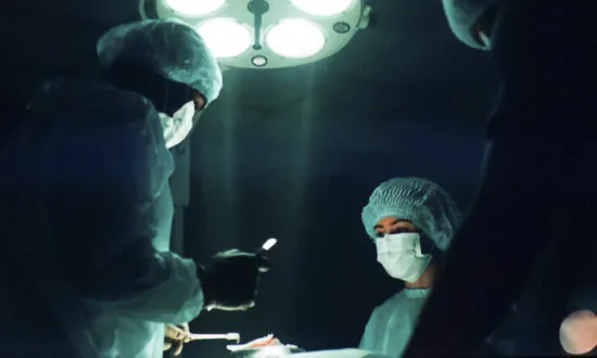 120 Medical Professionals Sign Letter Opposing Gender-Neutral Language