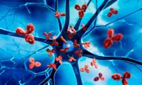 New Study Shows a Leaky Gut Leads to an up to 30-Fold Risk of Autoimmunity