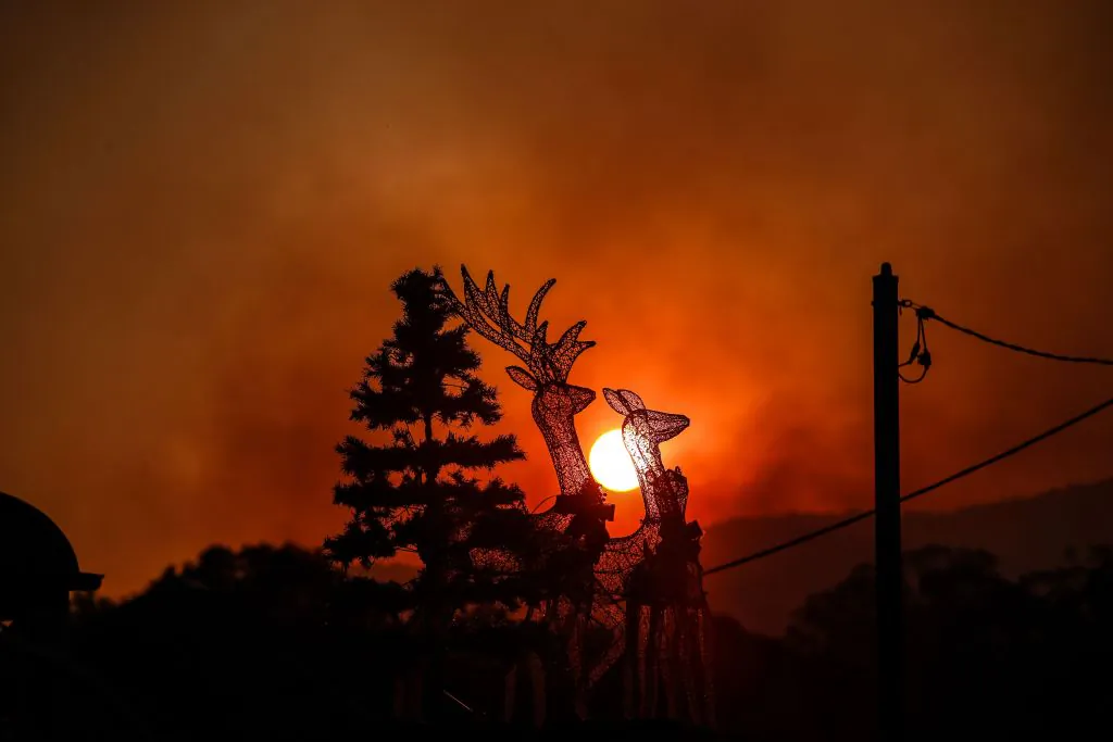 Homes Feared Lost in Large Bushfire in Victoria’s West