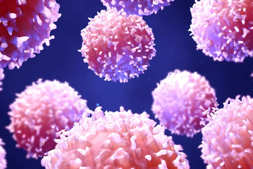 (Shutterstock/Design_Cells)