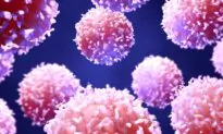 Why Your Mood Can Boost or Weaken Your Immune System