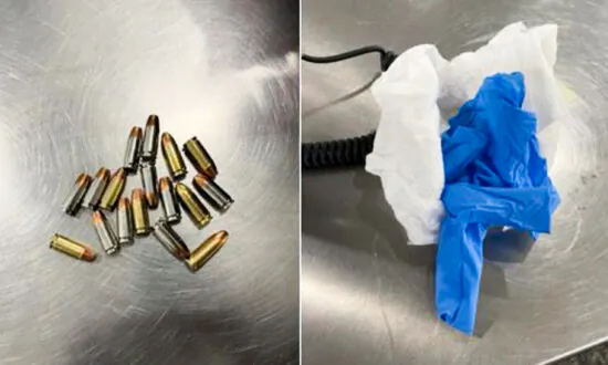 Passenger Hid Bullets in Baby Diaper at New York’s LaGuardia Airport