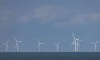 New Report Highlights Green Failure in Europe and Warns America