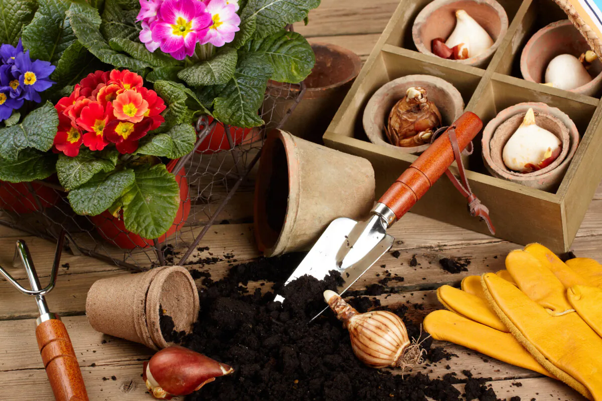 Multiple pairs of tools and gloves will come in handy to any passionate gardener. (macka/Shutterstock)