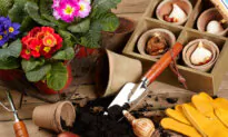 Last-Minute Garden Gift Ideas
