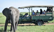 Kenya Opening Visa-Free Travel for International Tourists