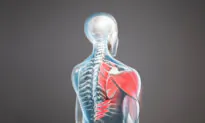 Stiff Person Syndrome: An Enigmatic Disease and Its Potential Causes