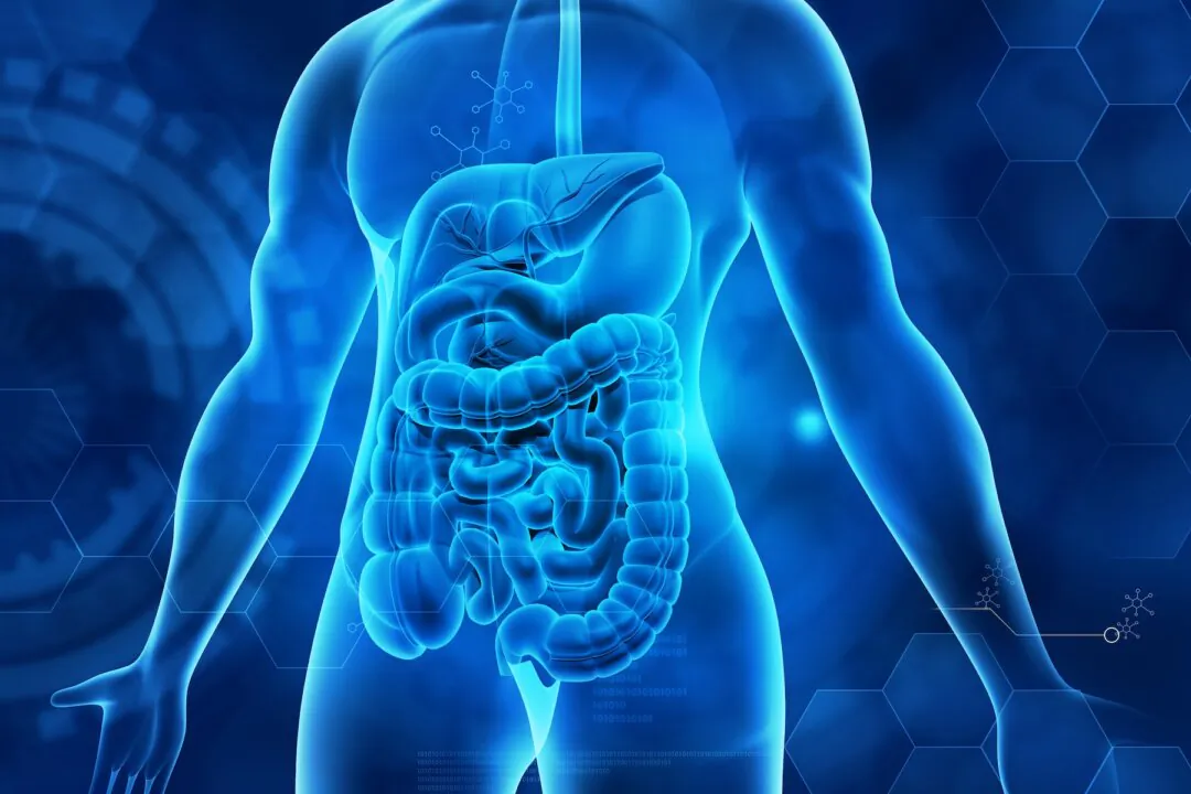 Nurturing the microbes that help our gut produce mucin can go a long way in boosting immunity. (Shutterstock)