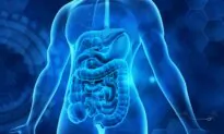 Antibiotics May Directly Damage Gut Barrier, Increase IBD Risk