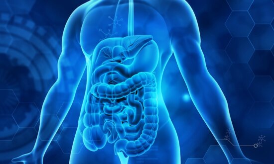 6 Expert Strategies for a Healthy Gut in 2024