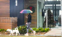 Los Angeles County Recaptures Over 700 Million Gallons of Stormwater This Week Alone