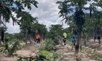 Clean-Up Continues as Queensland Braces for Another Cyclone