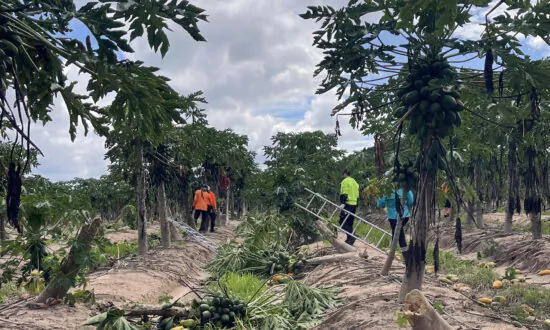 Region Battens Down the Hatches as Cyclone Forms in Queensland