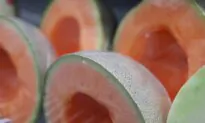 Canadian Death Toll in Cantaloupe Salmonella Outbreak Rises to Seven