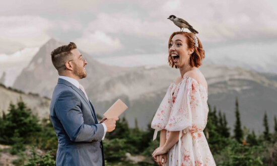 Photo of a Bird Landing on Bride's Head Wins International Wedding Photographer of the Year