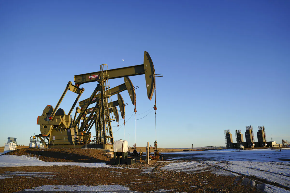 Oil field pump jacks in Williston, N.D., on Dec. 21, 2023. (Madalina Vasiliu/The Epoch Times)