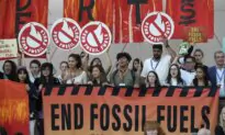 Radical Environmentalism: To Be Green Doesn’t Require Tyranny (Part 1)
