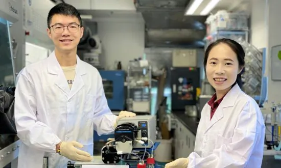 CUHK Progress in Biomimetic Molecular Catalyst Highly Promising for Future Energy-Efficiency of Redox Flow Batteries