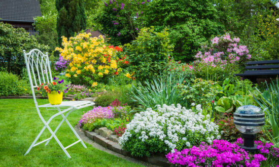 Constant Color: Designing a 4-Season Garden