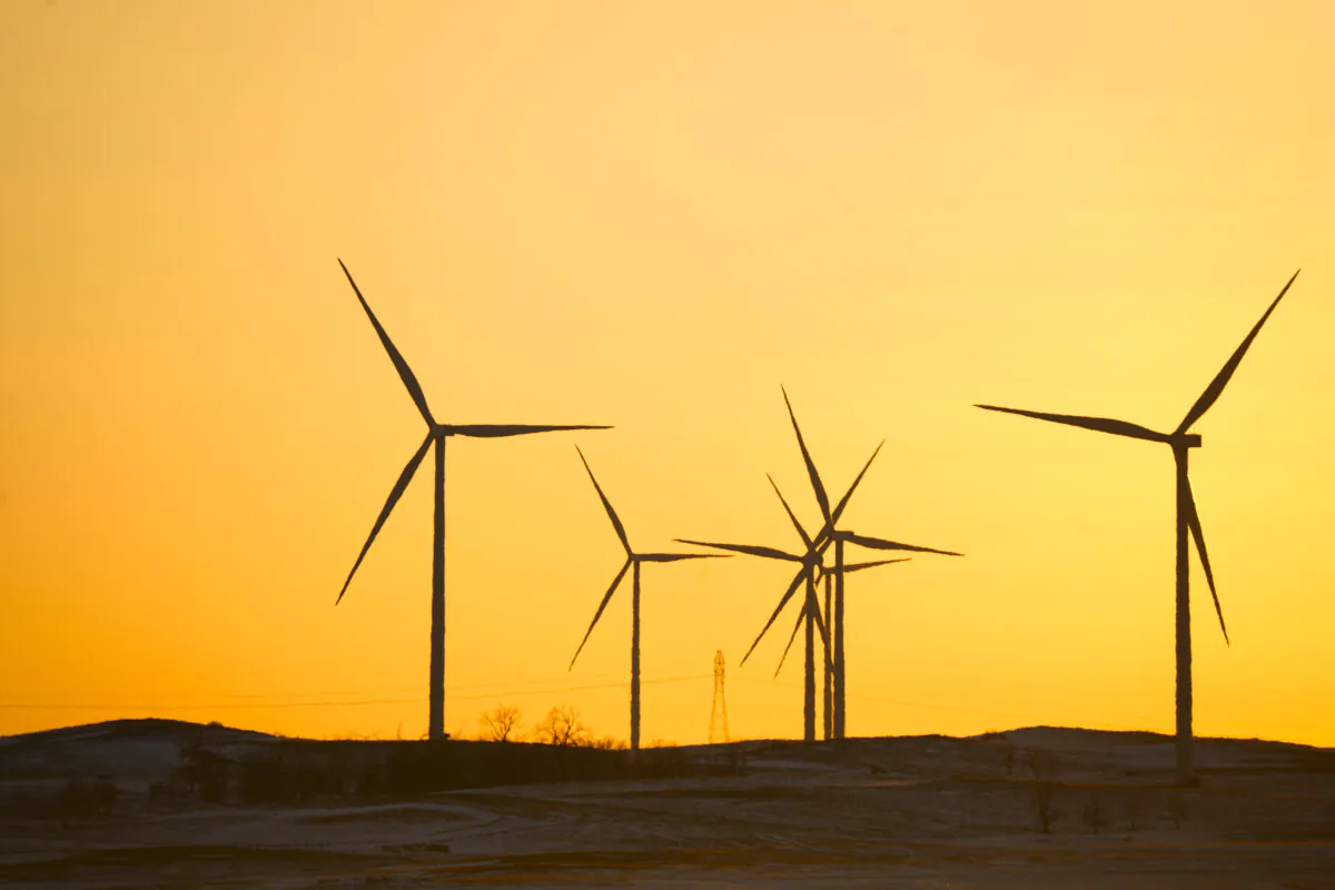 Wind turbines in a field in Beulah, N.D., on Dec. 22, 2023. (Madalina Vasiliu/The Epoch Times)