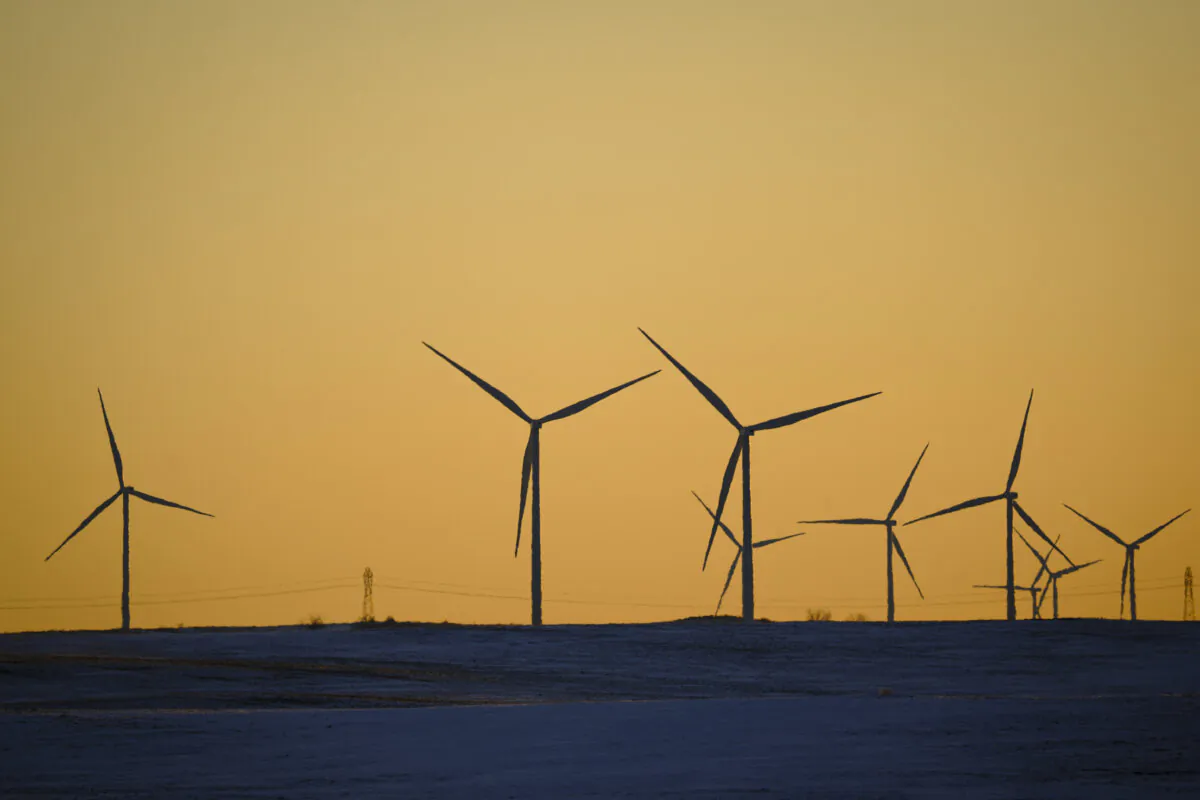 Wind turbines in a field in Beulah, N.D., on Dec. 22, 2023. (Madalina Vasiliu/The Epoch Times)