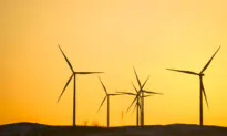 Community Sues to Limit Operation of 100-Turbine Wind Farm on Environmental Grounds